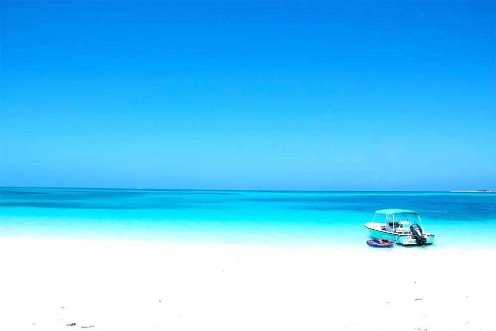 Beach picture